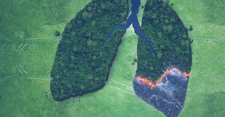 Managing Environmental Risks through Sustainability Acumen