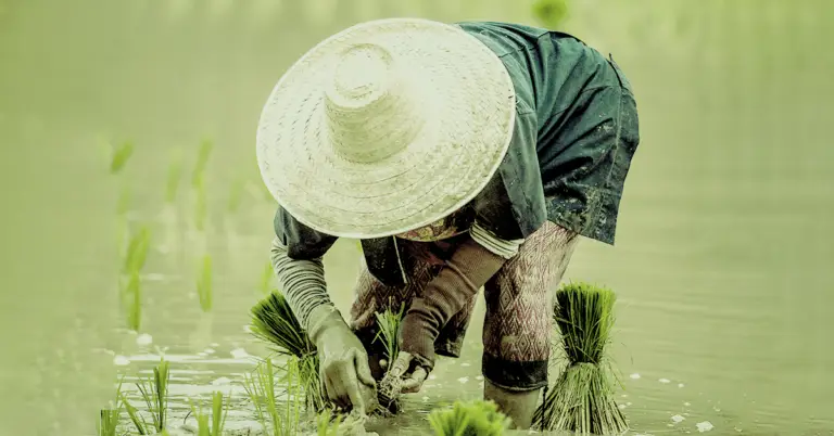 Spotlight: How Scrubbed is Helping Its Local Farmers Grow