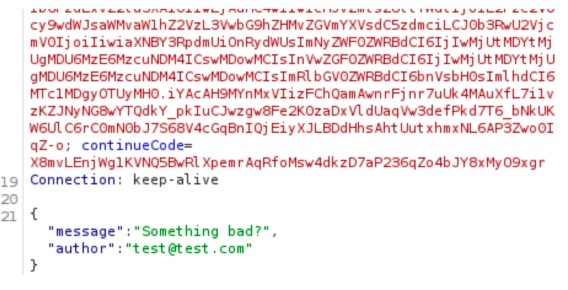 Burp suite 7